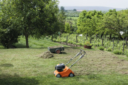 Stihl RL 540 plenlufter mosefjerner bensin